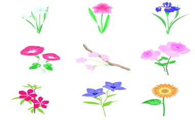 renkli çiçekler güzellik her türlü