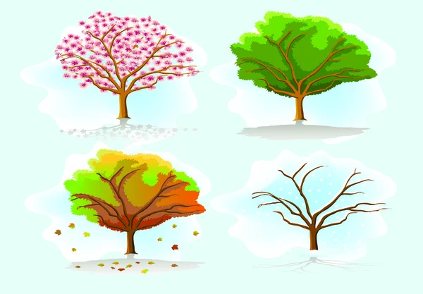 Four seasons trees — Stock Vector