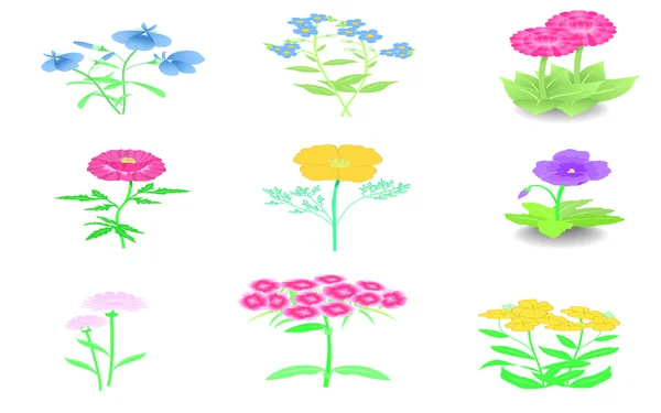 A set of flowers — Stock Vector