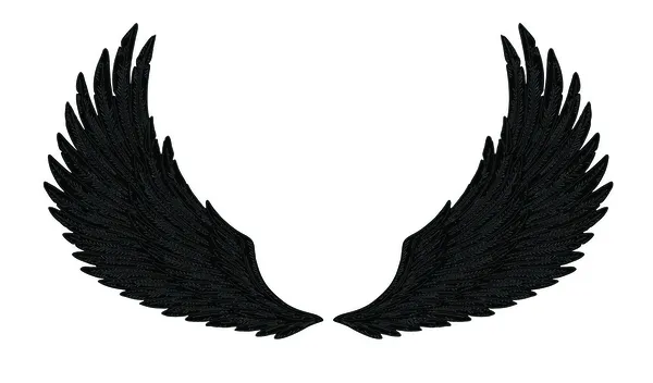 Černá křídla — Stockový vektor