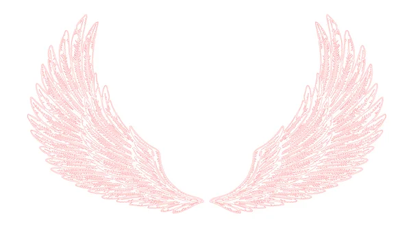 Flügel — Stockvektor