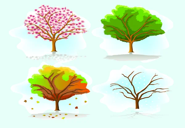 Čtyři roční období stromy — Stockový vektor