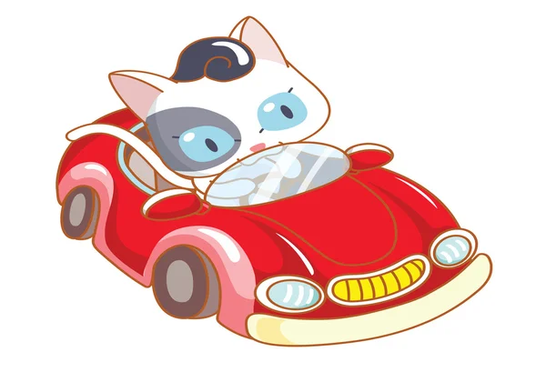 Милый мультяшный кот на красной машине — стоковый вектор