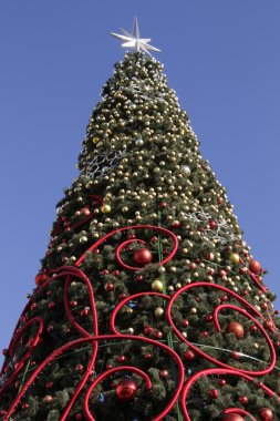 Şehir Noel ağacı