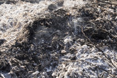 Background smoldering campfire