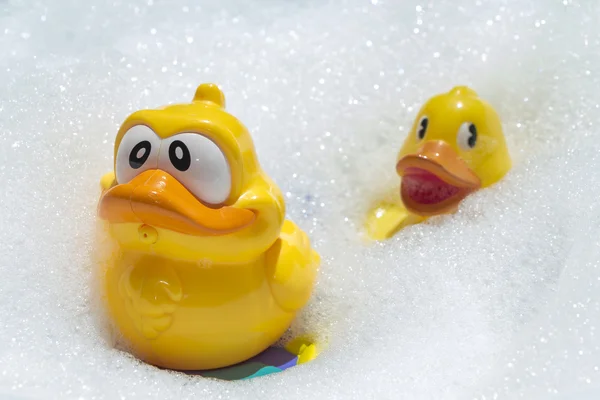 Two yellow ducks swim in soapsuds — Stock Photo, Image