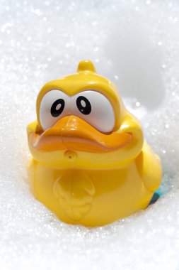 Yellow duckling in soapsuds
