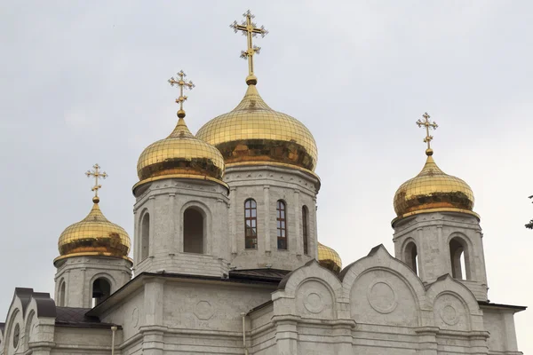 Beskåda av den övre delen av domkyrkan av Frälsaren — Stockfoto