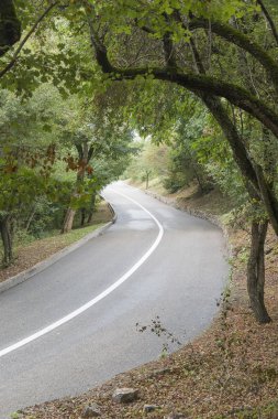 Büküm bir çizgi ahşap olan yol açtı