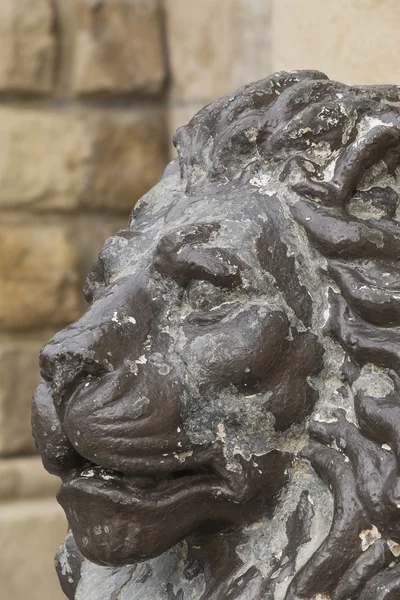 Muzzle of a lion sculpture in bad condition — Stock Photo, Image