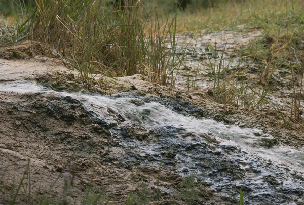 Поток воды, текущий по лесу — стоковое фото