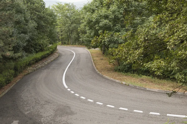 Verschlungene asphaltierte Straße mit einer Trennlinie — Stockfoto