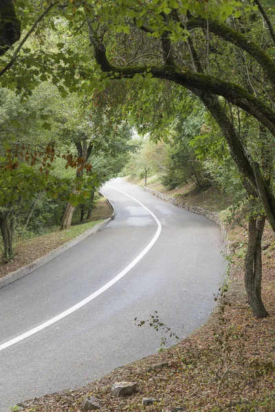 Verschlungene asphaltierte Straße mit einer Trennlinie im Wald — Stockfoto