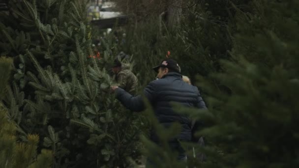 Chernivtsi, Ukrajna - 23.12.2019. egy család választja a karácsonyfát az újévi ünnepek előtt — Stock videók