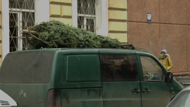 Egy zsúfolt karácsonyfa az autó tetején már várja, hogy karácsonyi díszítéssel díszítsék — Stock videók