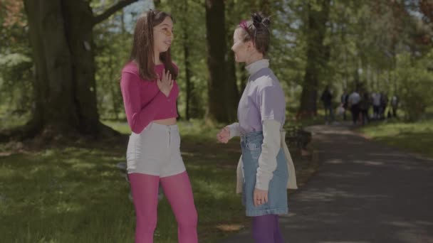 As raparigas no parque comunicam-se no parque. Adolescentes vestidos com roupas brilhantes. — Vídeo de Stock
