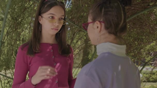 เด็กผู้หญิงมองกันและกันและถอดแว่นกันแดด ดูสเติร์น . — วีดีโอสต็อก