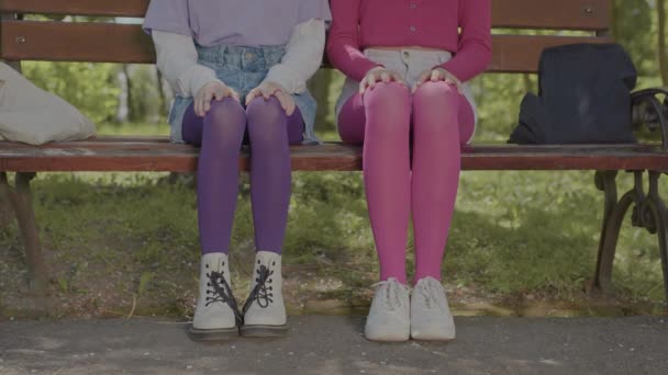Parktaki bankta oturan genç kızların bacaklarında parlak taytlar. — Stok video