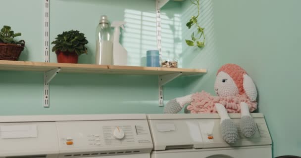 Badezimmer Minimalistischen Stil Waschküche Ökologische Reinigungsmittel Stofftier Auf Der Waschmaschine — Stockvideo