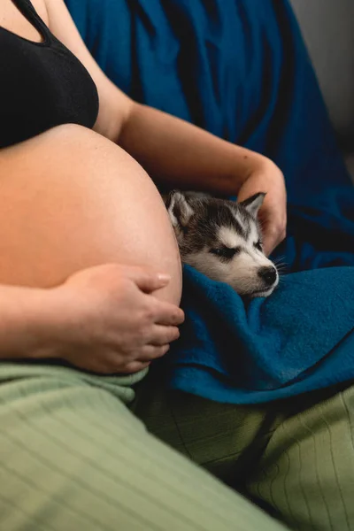 Una Mujer Embarazada Acariciando Perro Durmiendo Cerca Vientre Perro Que —  Fotos de Stock