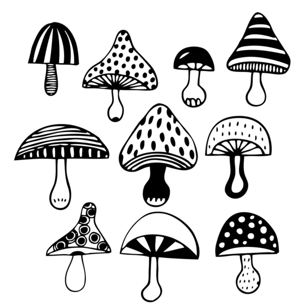 Illustration with decorative mushrooms — Stock Vector