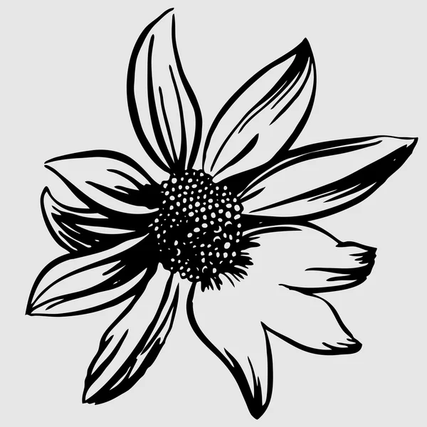 Ilustración vectorial con flores — Archivo Imágenes Vectoriales