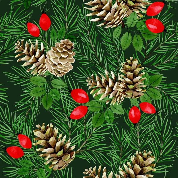 Watercolor Drawing Seamless Pattern Fir Branches Cones Red Rose Hips — Stock Photo, Image