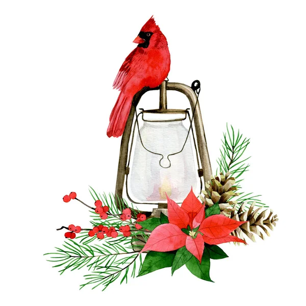 Aquarellzeichnung Weihnachtskomposition Mit Rotem Kardinalvogel Laterne Weihnachtsstern Roten Beeren Tannenzweigen — Stockfoto