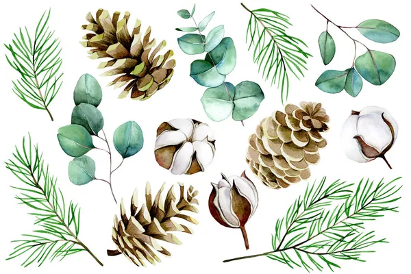 watercolor christmas, winter set. cotton flowers, eucalyptus leaves, fir branches and cones isolated on white background. vintage collection for the new year