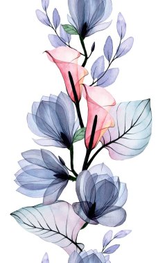 Şeffaf tropik çiçekler, kalla ve manolya yapraklarıyla suluboya kusursuz bir sınır. Pastel tozlu pembe ve mavi renklerde ya da beyaz arka planda hassas, hassas baskılar..