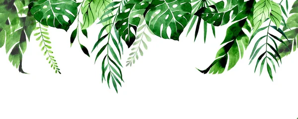 Акварельний Малюнок Безшовна Рамка Рамка Банер Тропічним Листям Зелене Листя — стокове фото