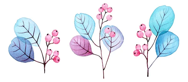 Aquareltekening Set Transparante Eucalyptusbladeren Blauwe Roze Bessen Abstracte Bladeren Takken — Stockfoto