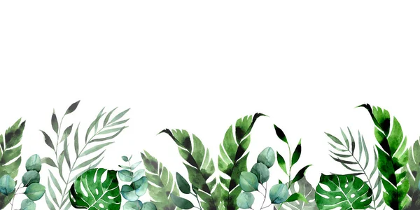 Watercolor Drawing Seamless Border Green Tropical Leaves Rainforest Palm Leaves — 图库照片