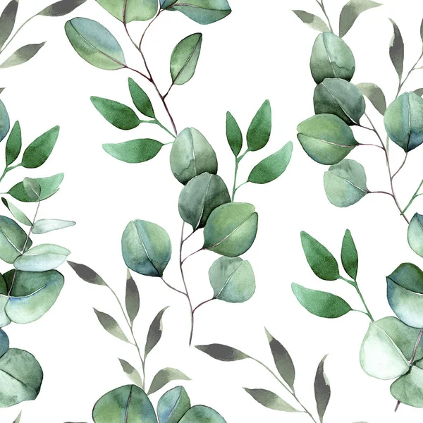 Bezszwowy Wzór Akwareli Liśćmi Eukaliptusa Delikatny Odcisk Wzór Vintage Zielone — Zdjęcie stockowe