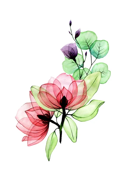 Σχέδιο Ακουαρέλα Χέρια Μπουκέτο Από Διαφανή Λουλούδια Διαφανή Ροζ Άγρια — Φωτογραφία Αρχείου