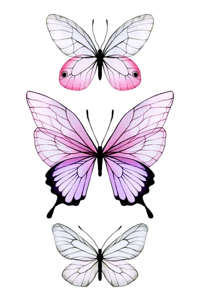 Watercolor Drawing Set Colored Transparent Butterflies Beautiful Abstract Butterflies Transparent — Stock Photo, Image