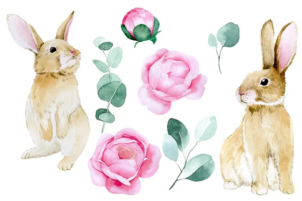 Aquarellzeichnung Elemente Für Ostern Niedliche Osterhasen Rosa Rosenblüten Und Eukalyptusblätter — Stockfoto