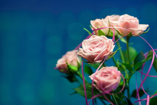 Pink rose with turquoise and blue circle background — Stock Photo, Image