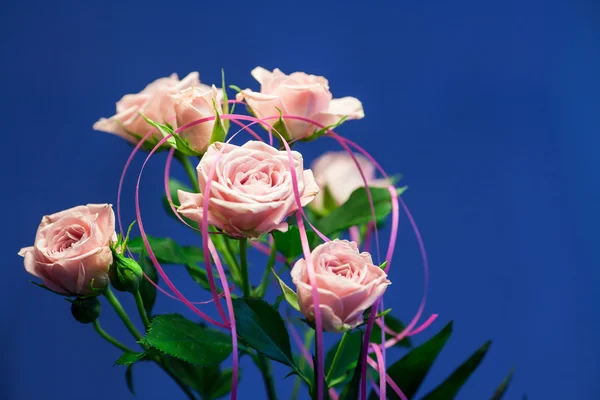 Pink rose with turquoise and blue circle background — Stock Photo, Image