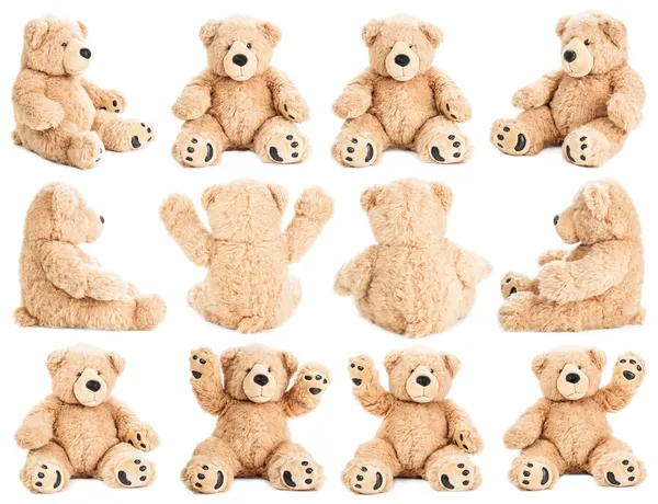 Teddybär in verschiedenen Positionen Stockfoto