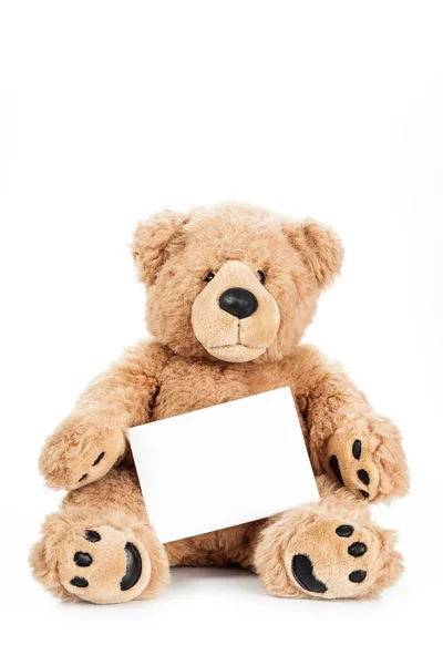 可爱的泰迪熊抱着空白板 — 图库照片