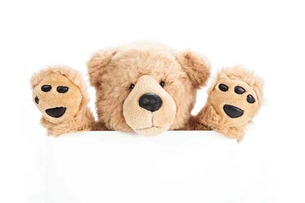 Niedlicher Teddybär mit leerem Brett lizenzfreie Stockfotos