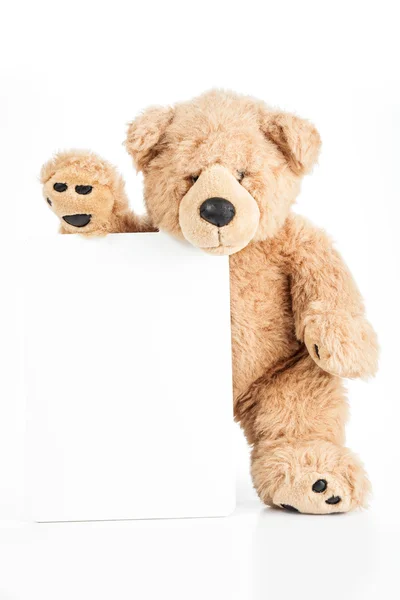 Wütender Teddybär hält leeres Brett Stockbild