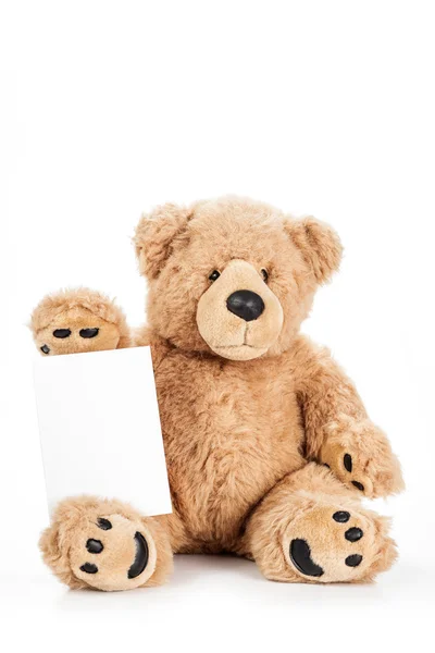 Niedlicher Teddybär mit leerem Brett Stockbild
