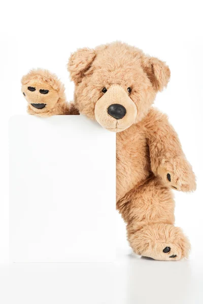 可爱的泰迪熊抱着空白板 免版税图库照片