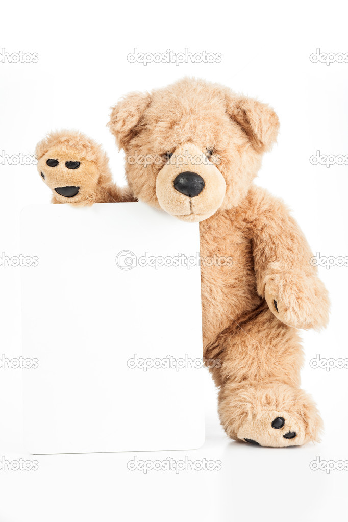 angry stuffed bear