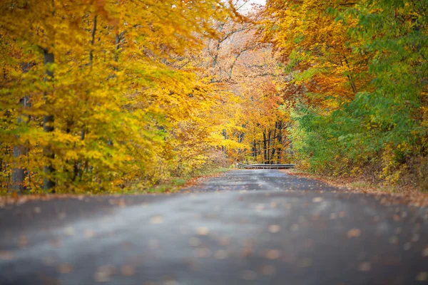 Autumn colorful trees near the road — Zdjęcie stockowe