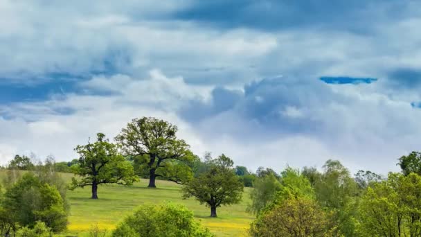 Time-lapse wolken boven het groene bos — Stockvideo