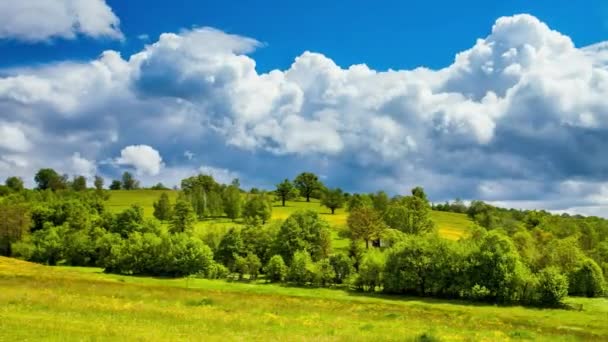 Zeitraffer-Wolken über dem grünen Wald — Stockvideo