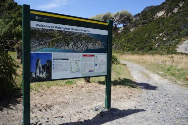 Putangirua Tepeleri 'nin taş gökdelenleri. Kuzey Adası, Yeni Zelanda